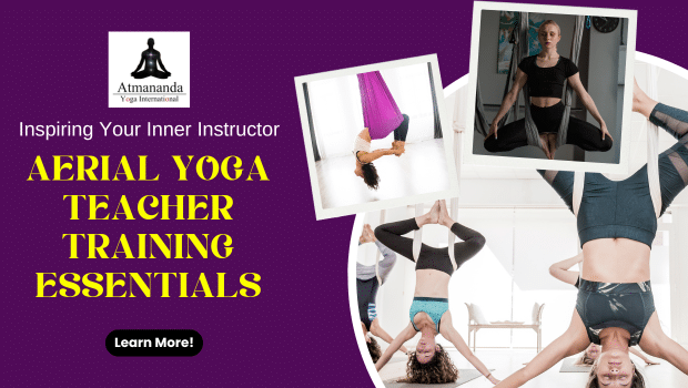 Aerial Yoga teacher training