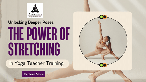 Stretching Yoga Teacher Training